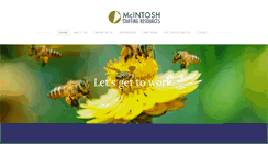 Desktop Screenshot of mcintoshstaffing.com